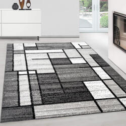  Modern Szőnyeg Torino 574 (Gray) 80x150cm Szürke