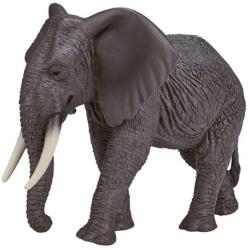 Mojo elefant african (DDMJ387189) Figurina