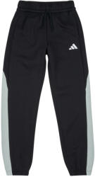 adidas Pantaloni de trening Băieți JC7531 adidas Negru 11 / 12 ani