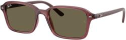 Ray-Ban RJ9131S 7197/3 Transparent Dark Violet Brown napszemüveg (RJ9131S 7197 3)