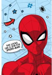 Jerry Fabrics Mikroszálas takaró Spider-man 100x150 cm