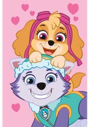 Jerry Fabrics Gyerek polár takaró Mancs őrjárat "PP518" 100x150 cm