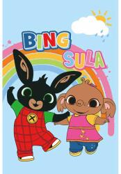 Jerry Fabrics Gyerek polár takaró Bing Sula"117" 100x150 cm