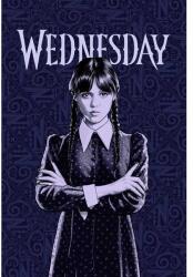 Jerry Fabrics Gyerek polár takaró Wednesday 100x150 cm