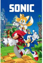 Jerry Fabrics Gyerek polár takaró Sonic "023" 100x150 cm