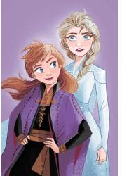 Jerry Fabrics Mikroszálas takaró Frozen Jégvarázs "Purple 05" 100x150 cm