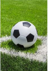 Jerry Fabrics Gyerek polár takaró Foci 100x150 cm