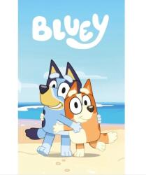 Jerry Fabrics Gyerek polár takaró Bluey 100x150 cm