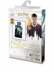 Faro Ágynemű garnitúra 140x200 cm 100% pamut Harry Potter (Harry Potter 001)