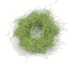 D&D Koszorú szalma 40 cm világoszöld (DD69292)