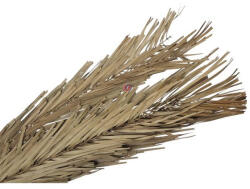 D&D Khajur levél 118 cm 6 db-os szett (276640)