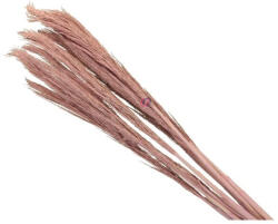 D&D Díszfű pink (431309)