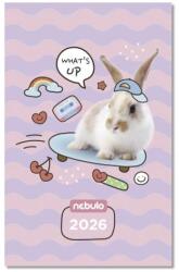 Nebulo Zsebnaptár NEBULO A/6 heti papírborítós Whats UP 2026 (TZSN-A6-26-D1) - robbitairodaszer