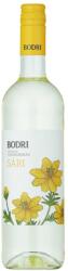 BODRI Sári bor 2025 (0, 75l) - italpark