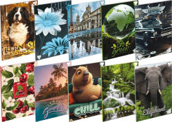 T-Creativ Füzet A/4 80-32 Sima Vegyes Mintákban (A16011080)