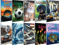 T-Creativ Spirálfüzet A/5 70 Lapos Vonalas Vegyes Mintákban (A15062021)