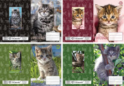 T-Creativ Füzetborító Betétes A/5 Kitten (N12068TKI)