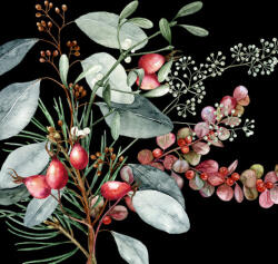  Ti-Flair Szalvéta 33x33 cm 3 Rétegű 20 Lap/Csomag Ruusunmarja & Lehdet Black Tél (AAD991)