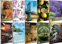 T-Creativ Spirálfüzet A/4 70 Lapos Négyzetrácsos Vegyes Mintákban (A15062087)