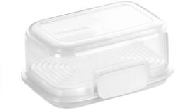 Tescoma FreshZONE ételtároló tömítéssel 20 x 16 cm