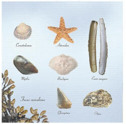 Esschert Design Tengerpart mintás szalvéta (TP358)