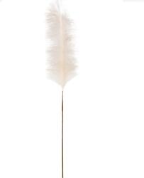  Fehér pampafű dísz - 88 cm