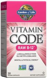 Garden of Life Vitamin Code RAW B12, 1000 mcg, 30 capsule