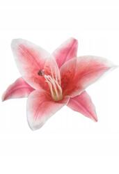  #3 Művirág Liliom tubus nagy fej 17cm Prémium minőség (#6 Tea)