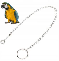  Edzőlánc nagy papagájok számára rozsdamentes acél (7896325410)