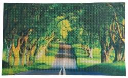 Feniks Lábtörlő Bejárati Cipőhöz 45x75CM WZ15 (5906948268869)