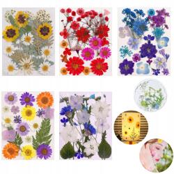  100X Természetes Szárított Préselt Virágok Vegyes Szárított Diy Gyanta Levelek (Suszone kwiaty 100szt)