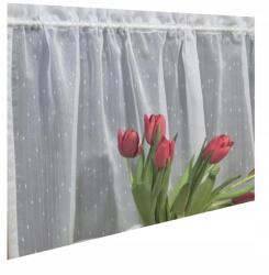  Irigy Hónaljmirigy Konyhai Függöny Olcsó Szép Modern Esővédő Drizzly 200x70 (6511)