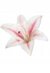  #5 Művirág Liliom tubus nagy fej 17cm Prémium minőség (#5 Cream lt pink)