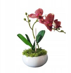 First Polska Mesterséges orchidea cserépben kicsi mohával (01784)