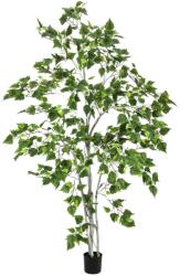  EUROPALMS Birch Tree, artificial plant, 180cm (82505231)