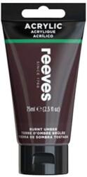 Reeves akrilfesték, 75 ml - burnt umber