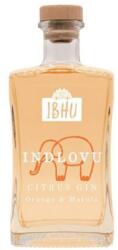  Ibhu Indlovu Citrus Orange & Marula gin DRS (0, 5L / 43%) - drinkmix