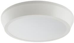 2R CAPRI R225 20W 4500K felületre szerelhető kerek lámpatest (L090607308) - mystock