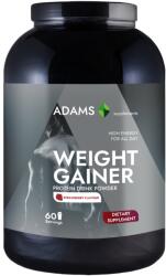Adams Vision Weight Gainer cu aroma de capsuni, 3000g, Adams Vision