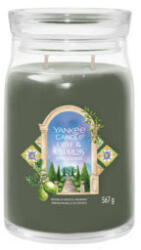Yankee Candle Olive & Cypress 567 g