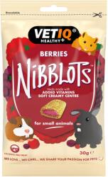  Vetiq Healthy+ Nibblots jutalomfalat rágcsálóknak - bogyós gyümölcs 30 g