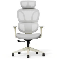 FlexiSpot BS5 ergonomikus irodai szék, zöld- hálós háttámla, állítható karfák és modern megjelenés (BS5G)