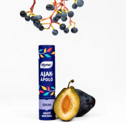 Myne ajakápoló kókusz olajjal szilva színben - menta illattal - 7 g