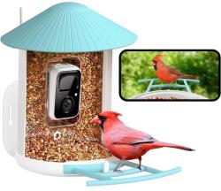 Birdfy Feeder (AI абонамент) (EPPAMBNI8102100)