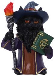 Nemesis Now Statuetă Nemesis Now Adult: Gothic - Magnus (U7006A25) Figurina