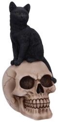 Nemesis Now Statuetă Nemesis Now Adult: Gothic - Familiar Fate, 24 cm (U5453T1) Figurina