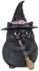 Nemesis Now Statuetă Nemesis Now Adult: Gothic - Lucky Black Cat, 12 cm (B4088M8) Figurina