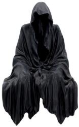 Nemesis Now Statuetă Nemesis Now Adult: Gothic - Darkness Resides (Shelf Sitter), 23 cm (U1734E5) Figurina