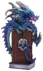 Nemesis Now Statuetă Nemesis Now Gothic: Dragons - A Tale of Dragons Skull Book, 22 cm (U6700A24) Figurina