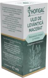 Hofigal Ulei de Levantica macerat, 60 capsule moi, Hofigal